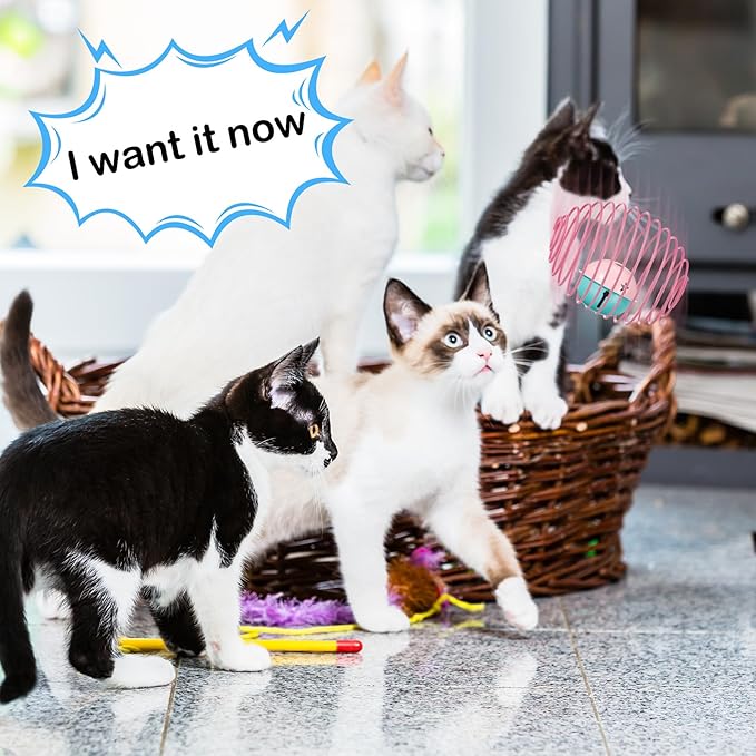 Jecery 5 Pcs Cat Spring Balls Stretchable Springs Toys Rolling Balls Colorful Playful Coils Interactive Spring Action Toy Caged Rats for Kitten Cat Pet Supplies Indoor (Bell,Multicolor)