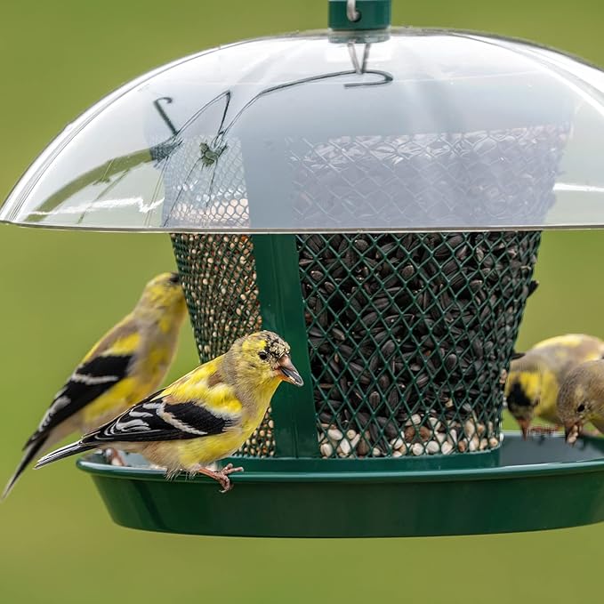 Kingsyard Bird Feeder for Outside, Dual-Use Metal Mesh Wild Bird Feeder with Weatherproof Dome Dual, 2.5 lbs Seed Capacity for Finch Cardinal