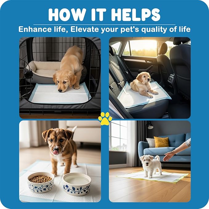 MoMoCo Puppy Pads 23"x23", 100 Count – Super Absorbent, Leak-Proof Potty Pads for Small Dogs & Puppies, Quick-Dry & Disposable