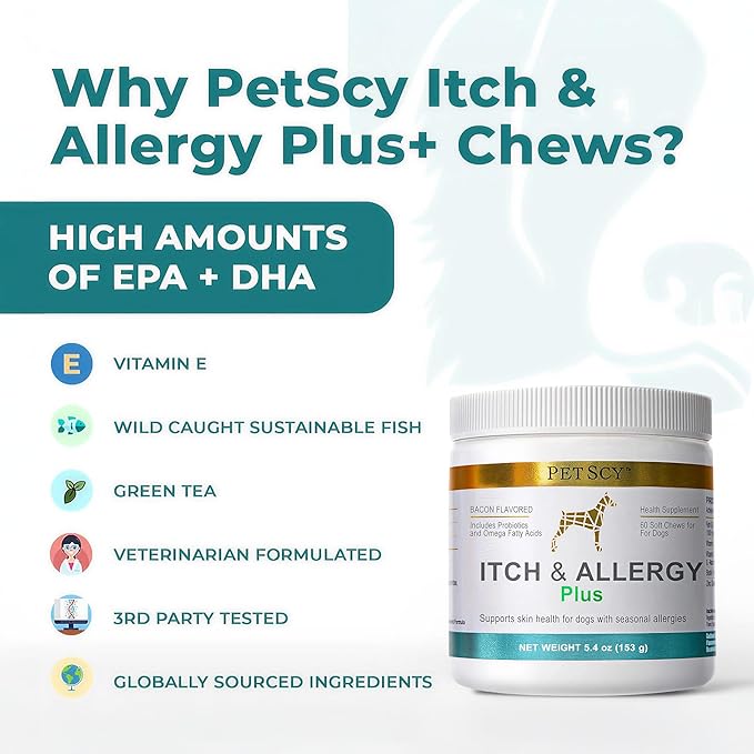 PetScy Itch & Allergy Plus Chews for Dogs Itchy Skin, Ears & Paws | Probiotics, Moringa & Turmeric | Dog Allergy Relief for Skin Redness, Hair Loss Gut & Digestive Health - Bacon Flavor - 60 Chews