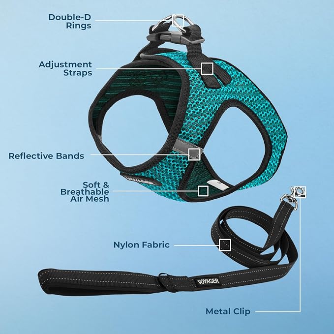 Voyager Step-in Air All Weather Mesh Harness and Reflective Dog 5 ft Leash Combo with Neoprene Handle, for Small, Medium and Large Breed Puppies by Best Pet Supplies - Turquoise, XL