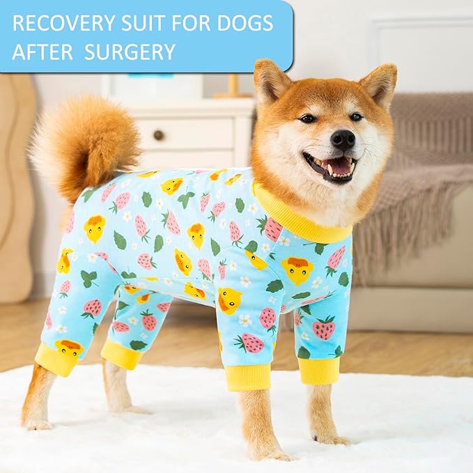 Dog Recovery Suit for Small Medium Large Dogs, Pet Onesie After Surgery Comfort Dog Bodysuit Anti Licking (Medium, Blue)
