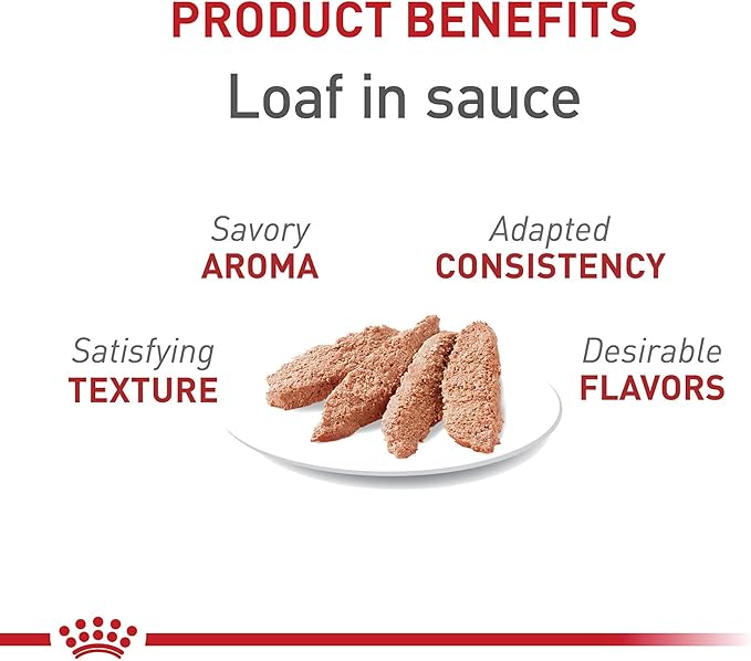 Royal Canin Feline Health Nutrition Adult Instinctive Adult Loaf in Sauce Cat Food, 5.1 oz (Pack of 24)