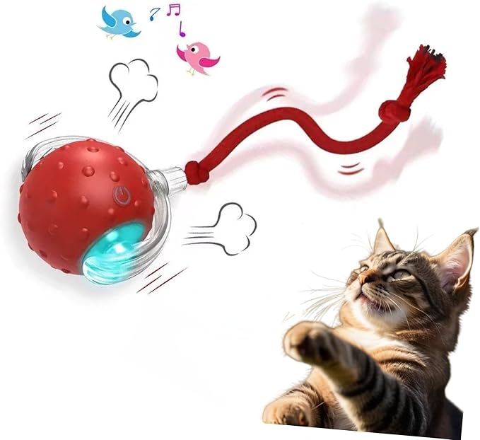 Interactive Cat Toy Ball – Automatic Electric Rolling Ball with Chirping Bird Sounds, Motion-Activated Indoor Toy for Kittens and Cats, Fun Exercise Play (Red)
