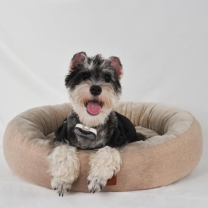 CLAYCLAY Cozy Round Cat Bed – Soft, Comfortable Cushion for Cats & Kittens – Non-Slip, Machine Washable, Plush Sleep Bed for Cats, Ideal for Resting & Napping (Khaki & Large)