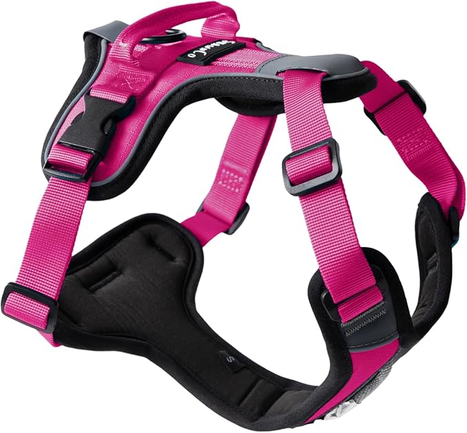 ShawnCo Basecamp Dog Harness, No-Pull Pet Vest with 3 Leash Clips, Padded, Reflective, Lightweight and Adjustable Harness with Handle for Small, Medium and Large Dogs (Orchid, XS)