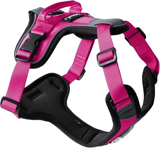 ShawnCo Basecamp Dog Harness, No-Pull Pet Vest with 3 Leash Clips, Padded, Reflective, Lightweight and Adjustable Harness with Handle for Small, Medium and Large Dogs (Orchid, XS)