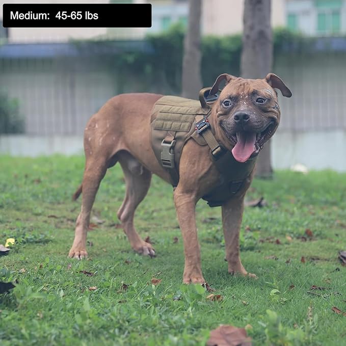 ICEFANG Tactical Dog Harness, Medium Size,2X Metal Buckle,Working Dog MOLLE Vest with Handle,No Pulling Front Leash Clip,Hook and Loop Panel (Brown,M (Pack of 1))