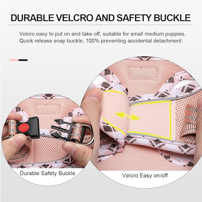 Mercano Soft Mesh Dog Harness and Leash Set, No-Chock Step-in Reflective Breathable Lightweight Easy Walk Vest Harnesses with Safety Buckle for Small Dogs, Cats (Champagne, L)