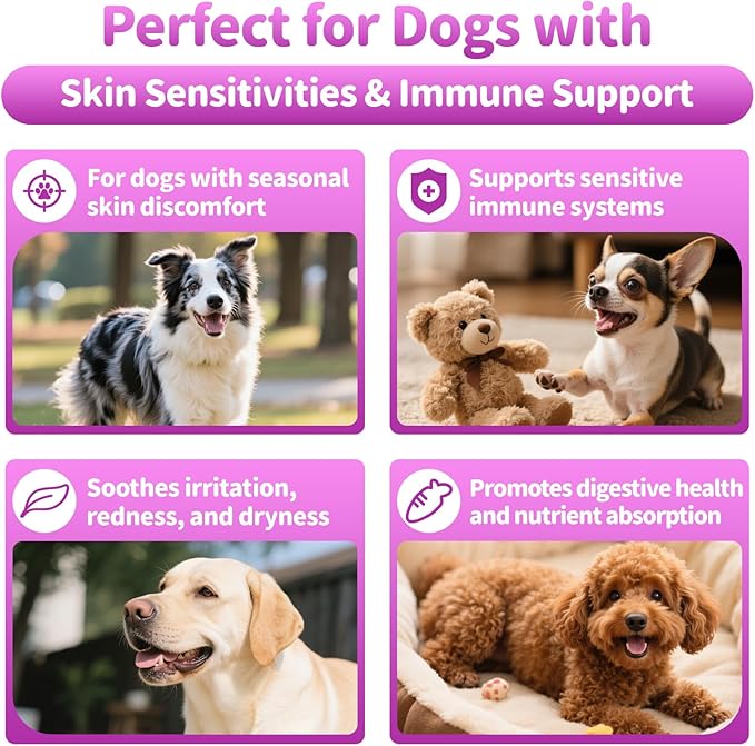 Dog Allergy Relief Chews, Itch Relief for Dogs – Turmeric & Omega-3 Supplements for Skin Comfort, Coat Health & Seasonal Support, Immune Care with Biotin & Quercetin – Beef Flavor, 90 Count