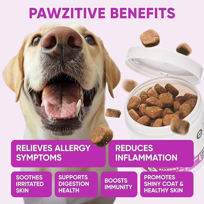Dog Allergy Relief Chews - Omega 3 Fish Oil Skin & Coat - Itchy Skin Support Supplement - Anti Itch Immune Treats - Seasonal and Food Allergy Chews for Shedding, Hot Spot, Ears
