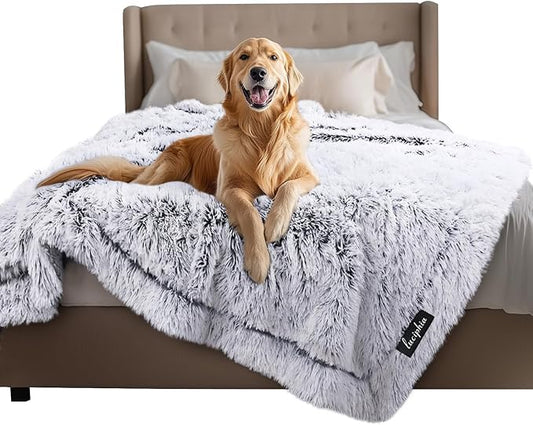 Luciphia Large Waterproof Dog Blanket for Pet Washable Liquid Proof Bed Intimacy Protection Shaggy Plush Calming Long Faux Fur Couch Cover Calming Cat Throw Blankets, Mist Grey, 60" x 80"