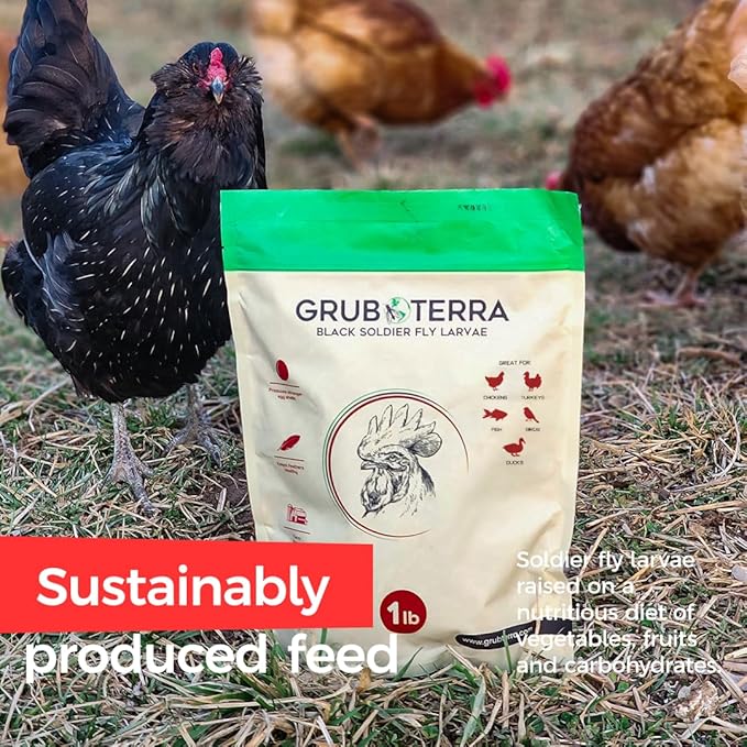 GrubTerra Golden Dried Black Soldier Fly Larvae - Premium Supplement to Increase Egg Production for Hen Treats, Bird Feed, Chicken Feeder, Pet Bird Food, and Wildbird Feed, Never from China! (10lb)
