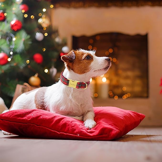Unique style paws Dog Collar Scottish Plaid Black Red Metal Buckle Durable Puppy Collar Christmas for Small Medium Large Boys Girls Dogs