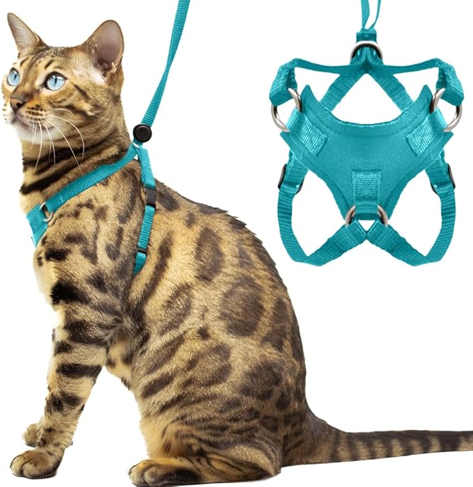 Houdini™ Escape Proof Cat Harness and Leash Set by OutdoorBengal – Turquoise, Medium Cat Harness for Walking