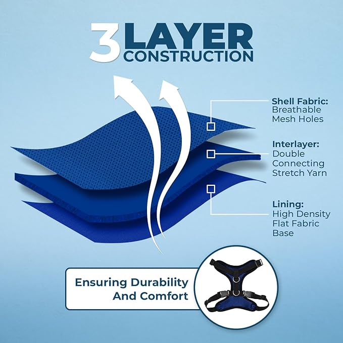 Voyager Step-in Lock Adjustable Cat Harness w. Cat Leash Combo Set with Neoprene Handle 5ft - Supports Small, Medium and Large Breed Cats by Best Pet Supplies - Royal Blue/Black Trim, XXS