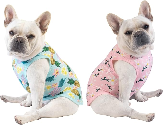 CuteBone Dog Shirts 2-Pack Soft Pet Clothes Breathable Summer Vest for Small Puppy and Stretchy Cat Apparel 2BX06S