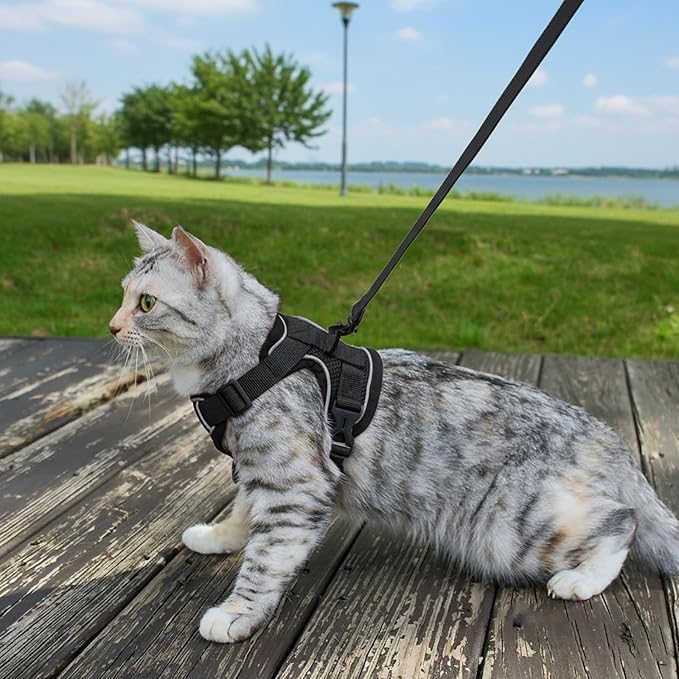 Cat Harness and Leash Set Escape Proof Tactical Extra Large Kitten Harness Emotional Support Cat Vest, Black, XL