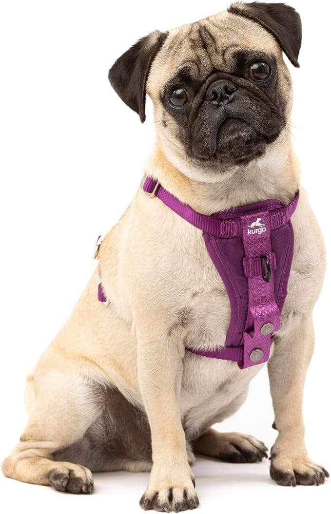 Kurgo Enhanced Strength Tru-Fit Dog Car Harness - Pet Travel Safety Harness - Crash Test Certified Fit - Five Point Adjustment - Secure Buckle - Padded Chest - Deep Violet - Small