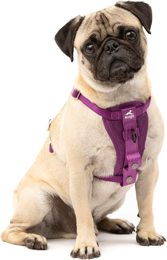 Kurgo Enhanced Strength Tru-Fit Dog Car Harness - Pet Travel Safety Harness - Crash Test Certified Fit - Five Point Adjustment - Secure Buckle - Padded Chest - Deep Violet - Small