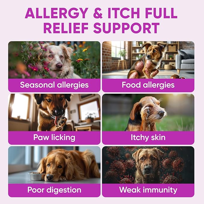 Dog Allergy Relief Chews - Omega 3 Fish Oil Skin & Coat - Itchy Skin Support Supplement - Anti Itch Immune Treats - Seasonal and Food Allergy Chews for Shedding, Hot Spot, Ears