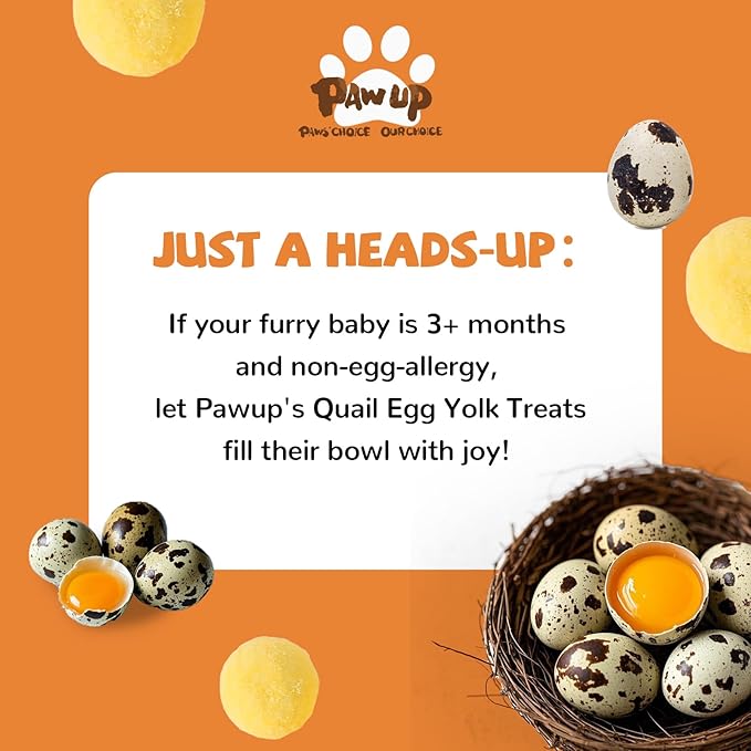 PAWUP Freeze Dried Cat & Dog Treats, Natural Quail Egg Yolk, Single Ingredient, High-Protein Pet Snacks for Skin & Coat Health, No Artificial Additives, 9.2 oz