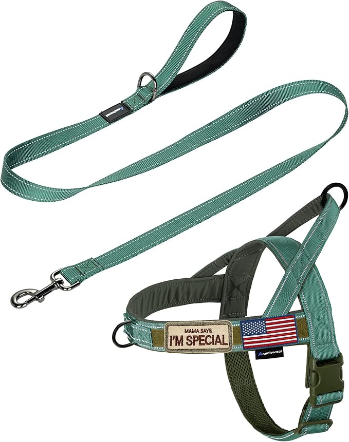 Annchwool No Pull Dog Harness with Padded Handle+5 Ft Leash,Reflective Strip Escape Proof and Quick Fit to Adjust Dog Harness,Easy for Training Walking for Small & Medium and Large Dogs(Green-Set,S)