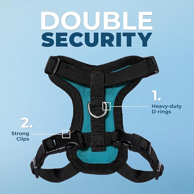 Voyager Step-in Lock Adjustable Cat Harness w. Cat Leash Combo Set with Neoprene Handle 5ft - Supports Small, Medium and Large Breed Cats by Best Pet Supplies - Turquoise/Black Trim, XS