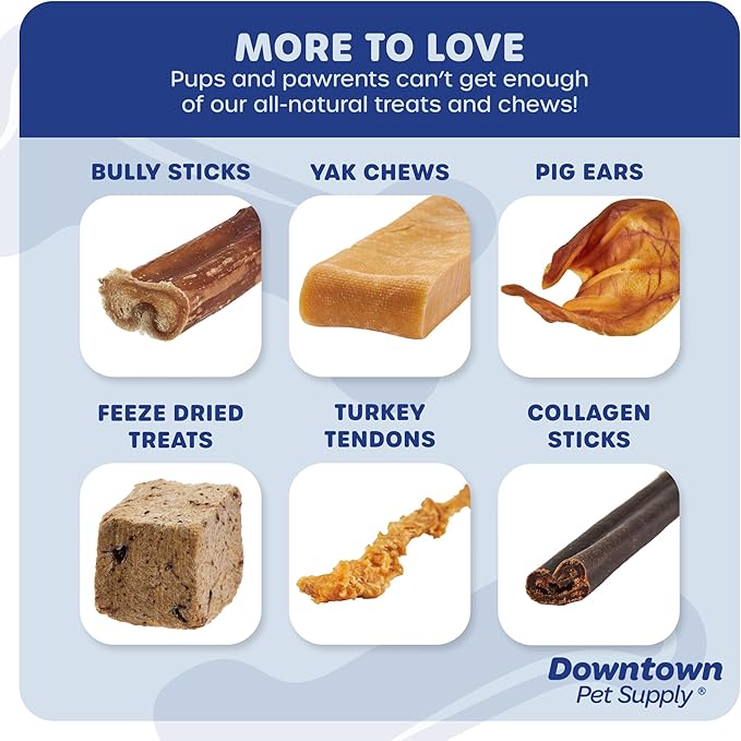 Downtown Pet Supply USA-Made Bully Sticks for Dogs (12", 50-Pack Regular) Rawhide Free Dog Chews Long Lasting Non-Splintering Pizzle Sticks - Low Odor Bully Sticks for Large Dogs