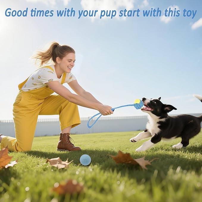 Beiker 20 Pack Puppy Chew Toys - Blue Dog Teething Toys for Puppies, Puppy Teething Rings and Ropes, Blue Rubber Toy Bundle for Small Dogs, Cute Interactive Dog Balls for Small Breed