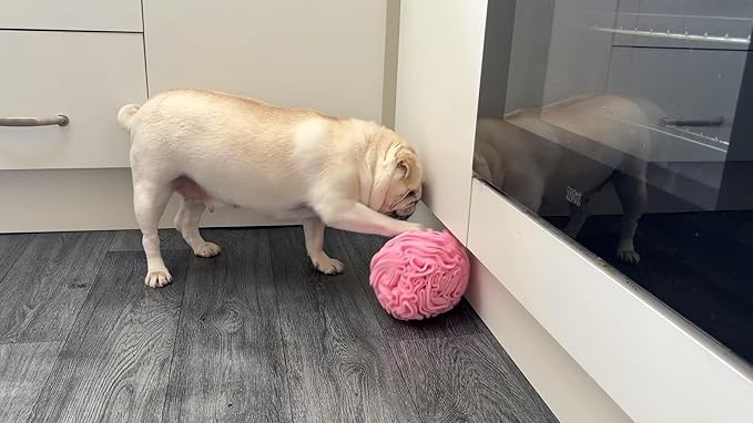 Medium Breed Snuffle Interactive Foraging Dog Puzzle Ball Toy Pink Large