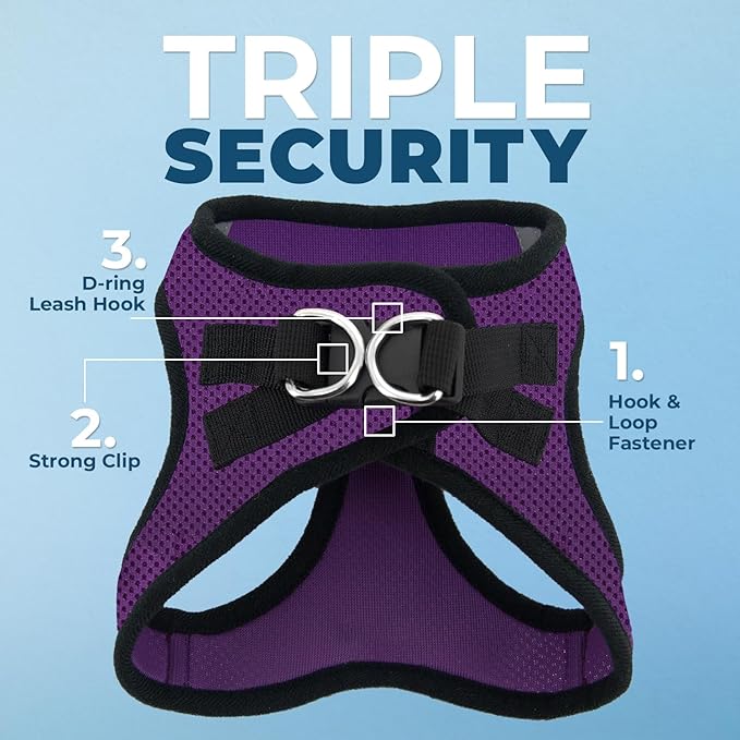 Voyager Step-in Air All Weather Mesh Harness and Reflective Dog 5 ft Leash Combo with Neoprene Handle, for Small, Medium and Large Breed Puppies by Best Pet Supplies - Purple/Black Trim, Small