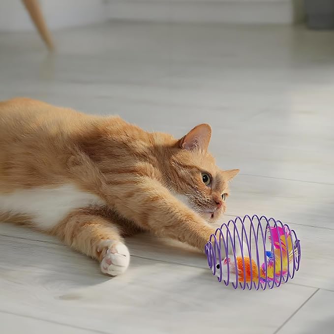 Jecery 5 Pcs Cat Spring Balls Stretchable Springs Toys Rolling Balls Colorful Playful Coils Interactive Spring Action Toy Caged Rats for Kitten Cat Pet Supplies Indoor (Cute Mouse,Bright Color)