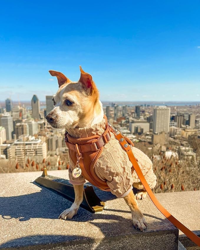 Fitwarm Knitted Dog Sweaters, Turtleneck Pet Pajamas, Dog Winter Clothes for Small Dogs Girl, Cat Apparel, Baby Pink, Large