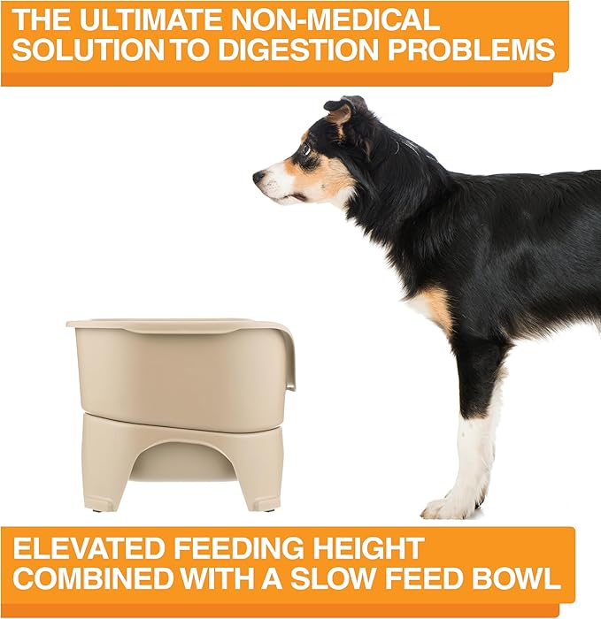 Neater Feeder - Express Model w/ Slow Feed Bowl - Mess-Proof Dog Bowls (M/L, Almond) Made in USA – Elevated, No Spill, Non-Tip, Non-Slip, Raised Stainless Steel Food/Water Pet Bowls Aid Digestion
