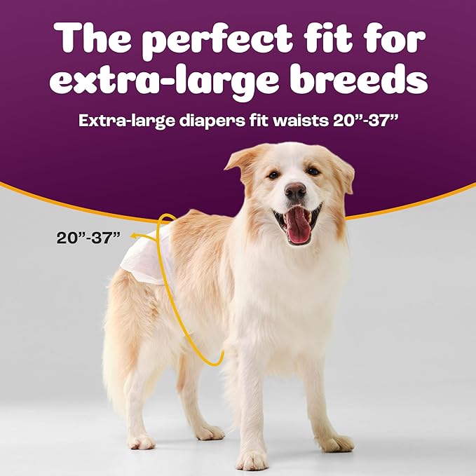 Inspire Pet Care Dog Diapers Female Dogs | Bulk Value Doggie Incontinence, Accidents, for Heat, Pee or Period and Housebreaking (X-Large (56 Count))