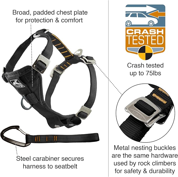 Kurgo Enhanced Strength Tru-Fit Dog Car Harness - Pet Travel Safety Harness - Crash Test Certified Fit - Five Point Adjustment - Secure Buckle - Padded Chest - Deep Violet - Medium