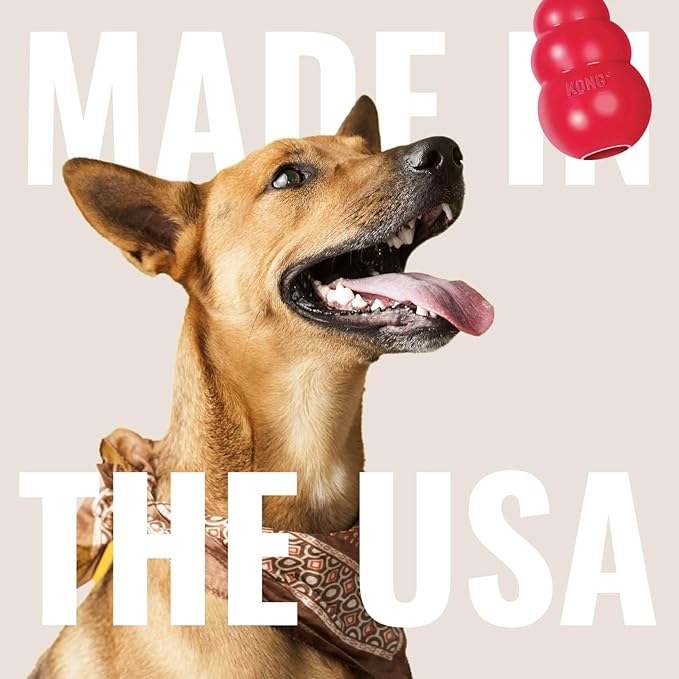 KONG Classic Stuffable Dog Toy - Fetch & Chew Toy for Dogs - Treat-Filling Capabilities & Erratic Bounce for Extended Play Time - Durable Natural Rubber Material - for Small Dogs