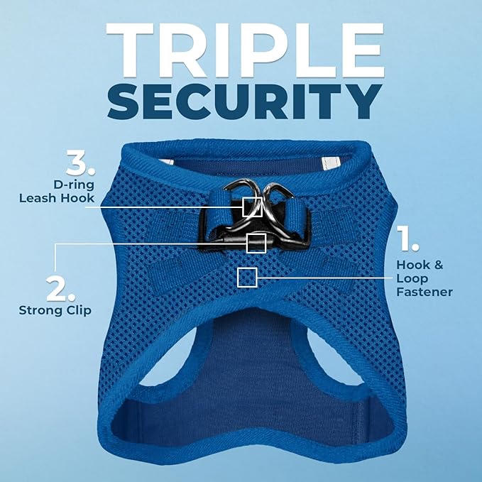 Voyager Step-in Air All Weather Mesh Harness and Reflective Dog 5 ft Leash Combo with Neoprene Handle, for Small, Medium and Large Breed Puppies by Best Pet Supplies - Set (Royal Blue), M