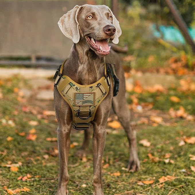 rabbitgoo Tactical Dog Harness for Small, Heavy Duty Pet Harness with Handle, No-Pull Service Vest Small Breed, Adjustable Military Dog Vest for Training Hunting Walking, Brown Camo, S