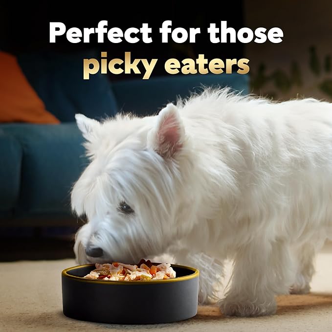 Cesar Simply Crafted Adult Wet Dog Food Meal Topper, Chicken, Carrots, Potatoes & Peas and Chicken, Sweet Potato, Apple, Barley & Spinach Variety Pack (8 Count, Pack of 2)