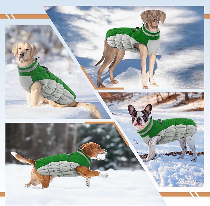 Dog Jackets for Medium Dogs,Medium Dog Coat,Warm Pet Winter Coat Zip Up Back,Waterproof Dogs Jacket with D-Ring,Pet Cold Weather Coats with Fleece Lined, Snowsuit Pug Boston Terrier,Green,M