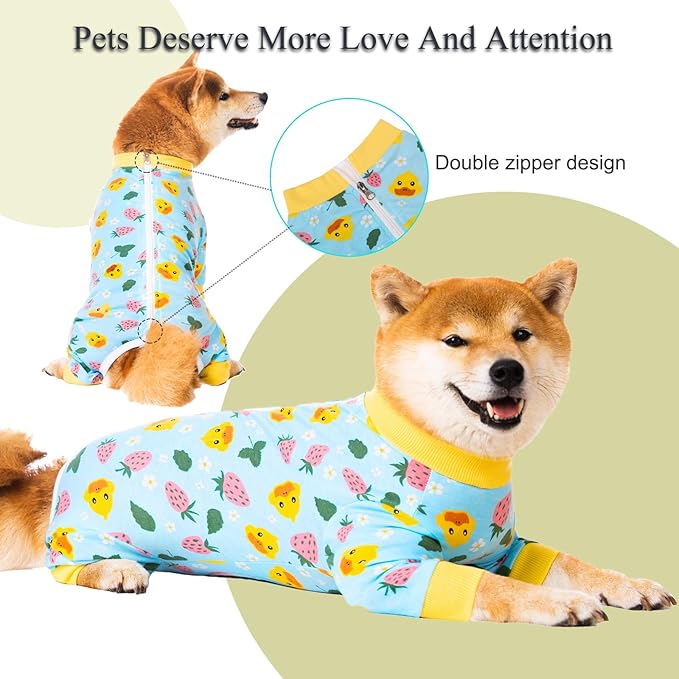 Dog Recovery Suit for Small Medium Large Dogs, Pet Onesie After Surgery Comfort Dog Bodysuit Anti Licking (4X-Large, Blue)