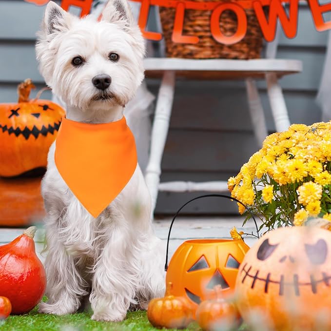 48 Pcs Halloween Color Dog Bandanas Bulk Sublimation Blank Bandanas for Dogs Heat Transfer Triangle Bibs DIY Scarf for Small Medium Large Puppy Pets Costume Photo Props Accessories Pet Shops