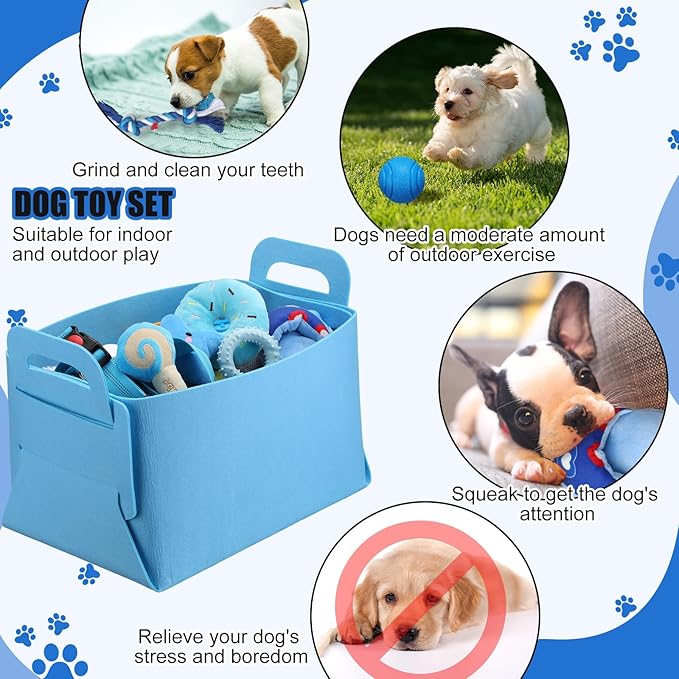 Abbylike 50 Pcs Puppy Supplies Starter Kit for Small Dogs Puppy Essentials Includes Leash, Bowls, Teeth Brushes, Water Bottle, and More Accessories for Dogs Christmas Welcome Gift(Blue)