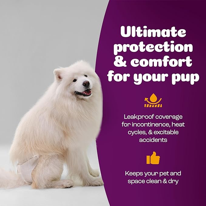 Inspire Pet Care Dog Diapers Female Dogs | Bulk Value Doggie Incontinence, Accidents, for Heat, Pee or Period and Housebreaking (Large (60 Count))