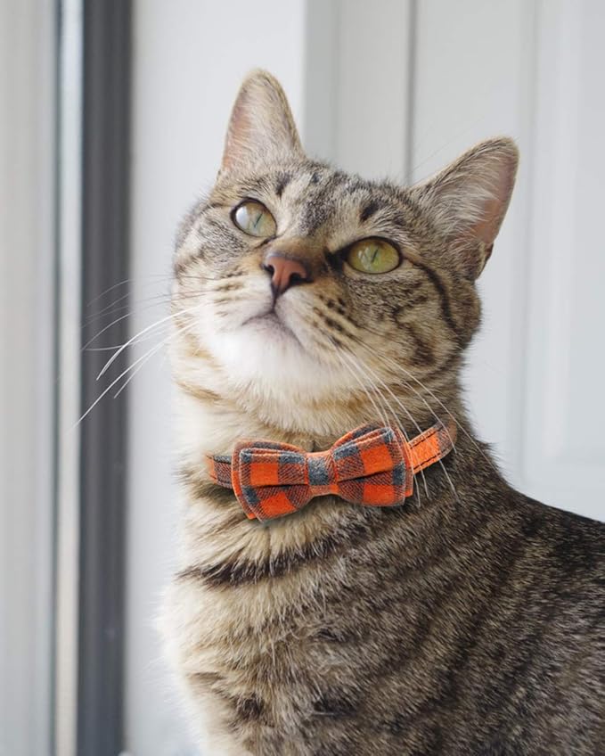 Joytale Upgraded Cat Collar with Bells, Breakaway Cat Collars with Bow Tie, 2 Pack Girl Boy Safety Plaid Kitten Collars, Green+Orange