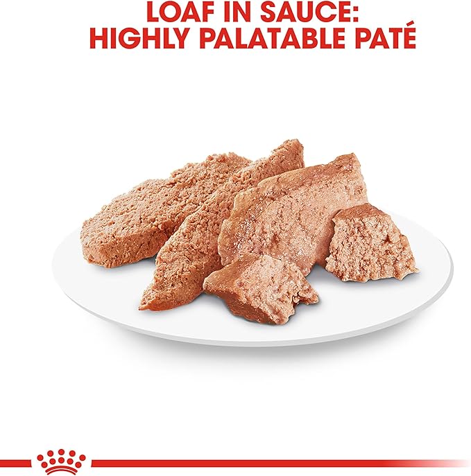 Royal Canin Breed Health Nutrition Poodle Adult Loaf in Sauce Dog Food, 3 oz (Pack of 24)