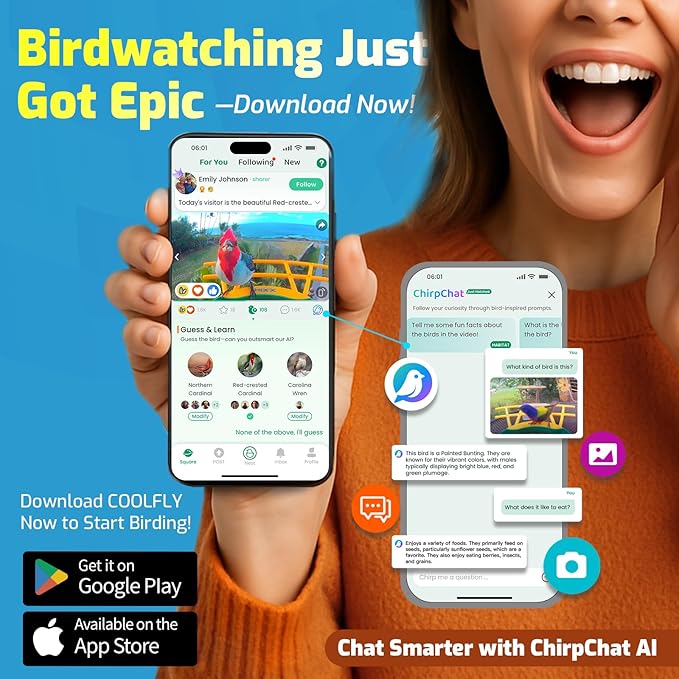 HIXX Smart Bird Feeder with Camera, AI Identify Birds & Auto Capture, 2K HD Live Camera Birdwatching with Color Night Vision for Bird Lovers Gifts (Pea Green)