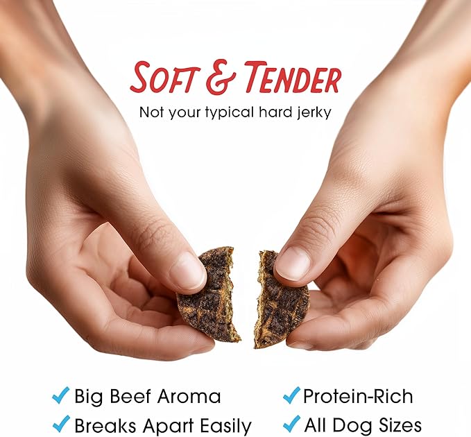 Farmland Traditions Dogs Love Beef Jerky Dog Treats with Only 4 Ingredients and No Fillers, 2.5 Pound Bag